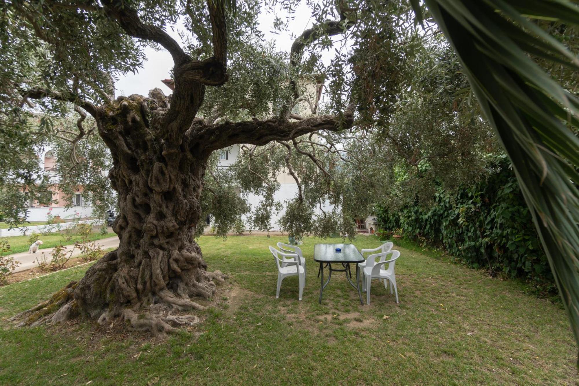 Studios Anais - Thasos Extérieur photo